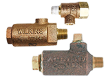 Backflow Winterizer Valves