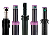 Non-Potable Sprinkler Heads