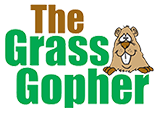 Grass Gopher