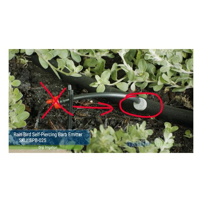 Rain Bird | SPB-025 | Self-Piercing Barb Emitter 1/4 in.