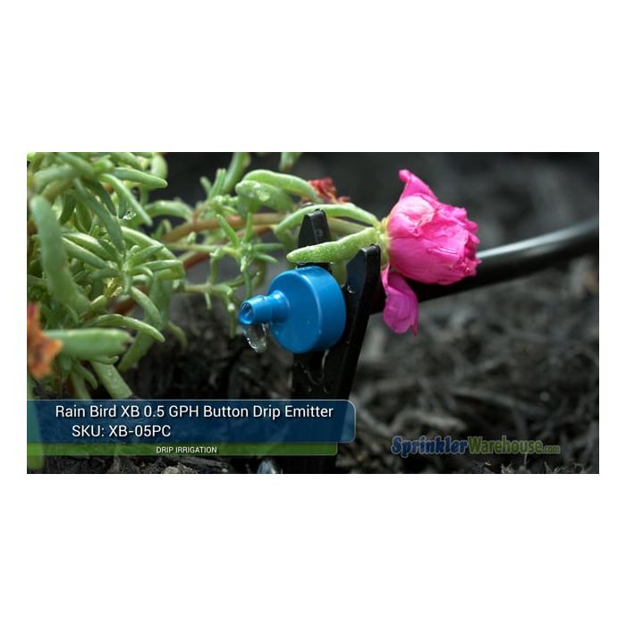 Rain Bird | XB-05PC-1032 | XB 0.5 GPH Button Drip Emitte