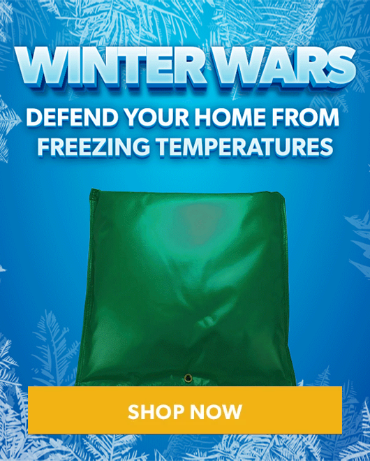 Winterization Sale